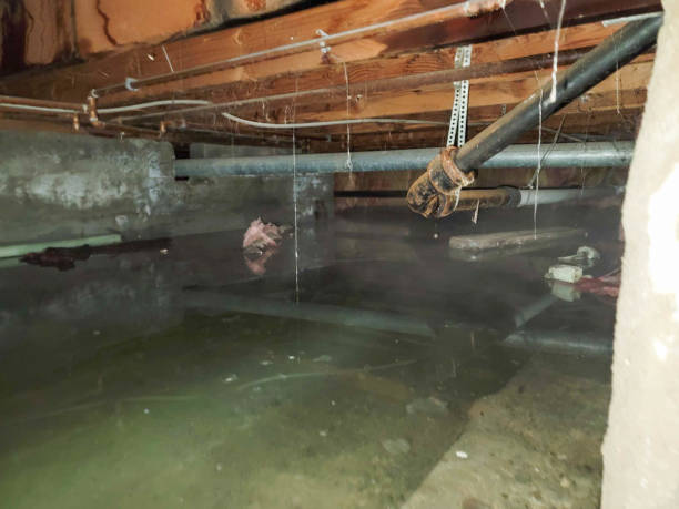 Best Commercial water damage restoration  in Lincoln Heights, OH