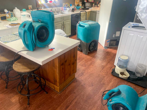 Best Basement water damage restoration  in Lincoln Heights, OH