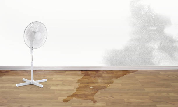  Lincoln Heights, OH Water damage restoration Pros