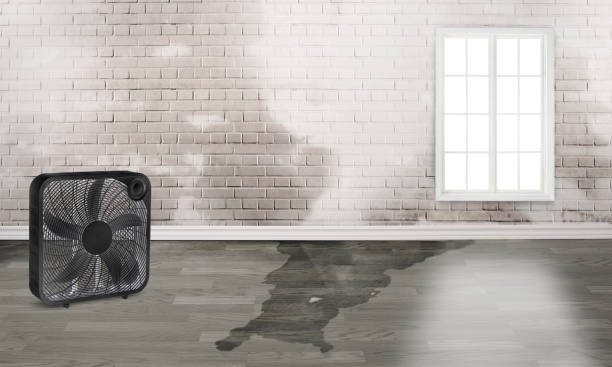 Best Water damage cleanup near me  in Lincoln Heights, OH